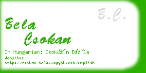 bela csokan business card